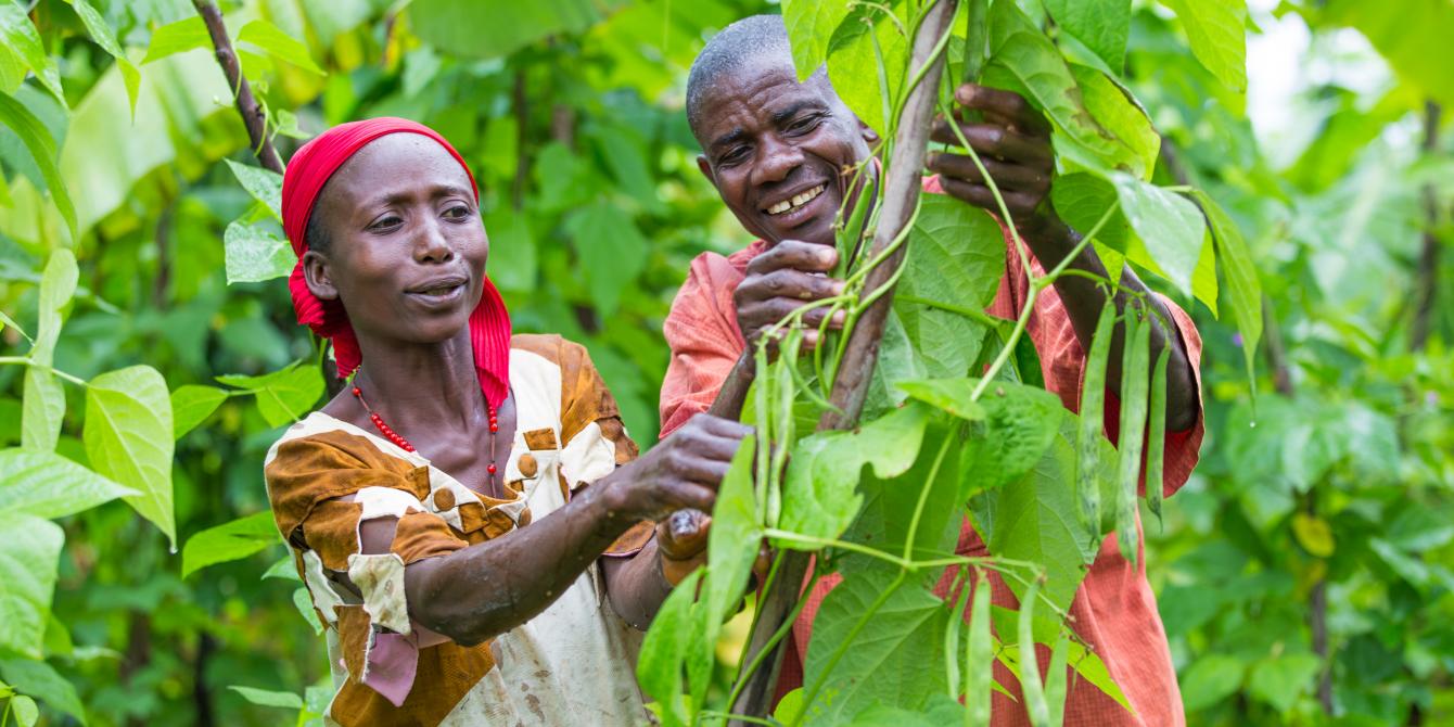 Calinie and Theophile Nzokirantevye in their bean farm in Bujumbura province, Burundi. Lisa Murray/Oxfam Calinie and Theophile Nzokirantevye in their bean farm in Bujumbura province, Burundi. Lisa Murray/Oxfam